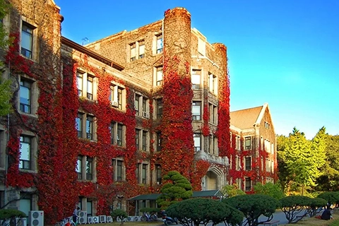 yonsei